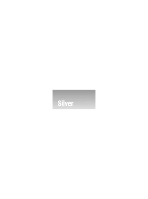 Akril ink Montana 25ml - Silver