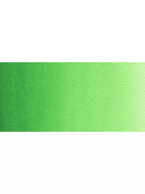 Rósa Gallery akvarell festék - egész szilke 2,5 ml - Fényes zöld 739