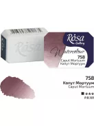 Rósa Gallery akvarell festék - egész szilke 2,5 ml - Caput Mortuum 758
