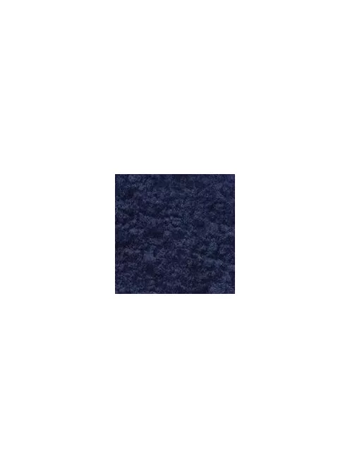 Pigment Zlatá loď 100g – 36000 True Indian Indigó (NB1)