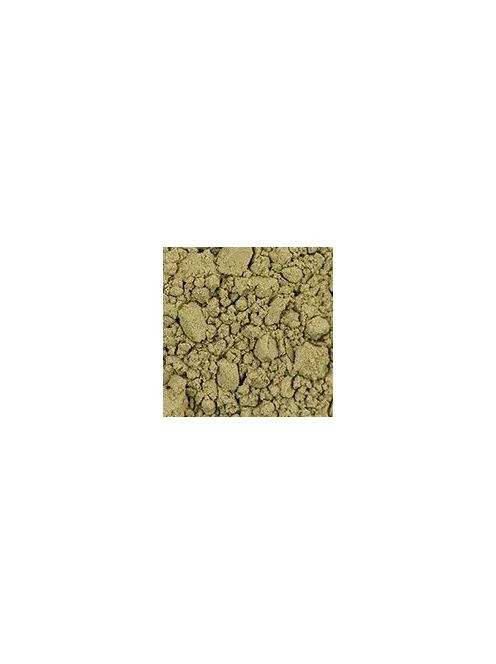 pigment Zlatá loď 100g – 40821 Earth green from Verona (PG23)