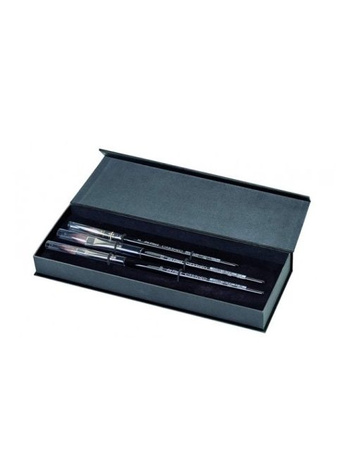 DaVinci 4250DV Casaneo ecsetkészlet ajándékdobozban