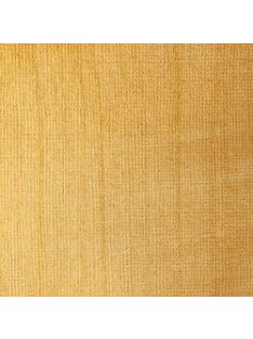 Liquitex akril tinta 30ml – 234 Iridescent Bright Gold