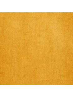 Liquitex akril tinta 30ml – 332 Átlátszó nyers szienna