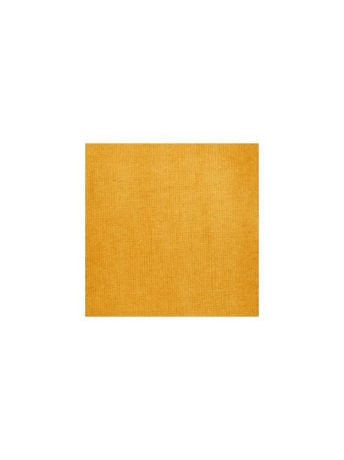 Liquitex akril tinta 30ml – 332 Átlátszó nyers szienna