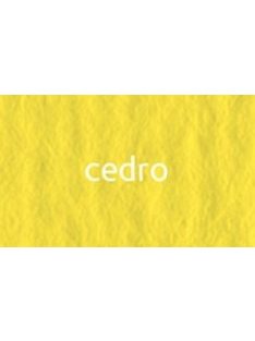 CartaCrea papír 35x50cm - cédrus