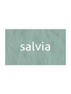 Tiziano art paper 50x65cm 160g - salvia