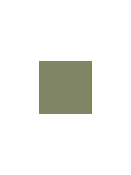 Montana Gold Spray Paint 400ml  CL6410 Manila green