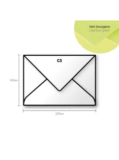Paper envelope Pollen C5 162x229mm – Leaf