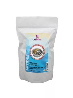 Casting concrete Creastone 1kg