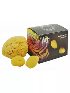 Small natural sea sponge, set of various sizes