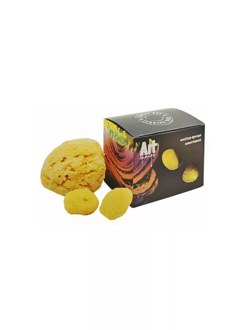 Small natural sea sponge, set of various sizes