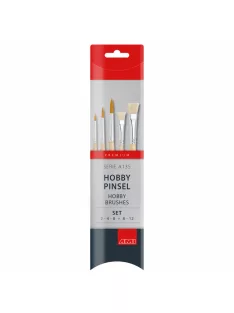 AMI A135 hobby brush set