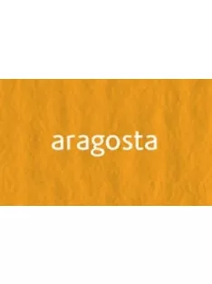 Színes másolópapír Fabriano 500 lap - aragosta