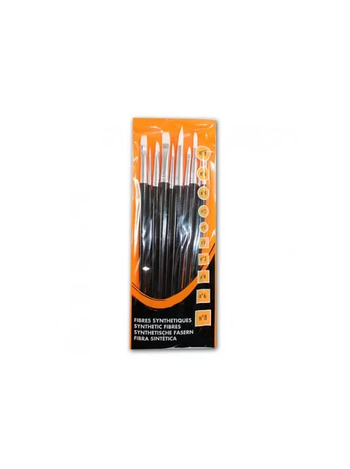 Set of 10 Loisirs brushes
