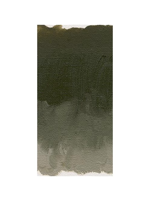 Williamsburg olajfesték 37ml – 1021 Bohemian Green Earth