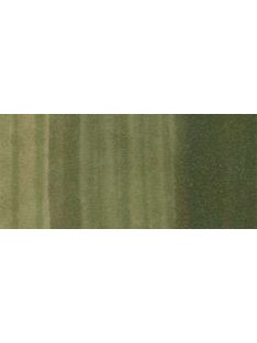 Copic Ciao marker – G85 Verdigris