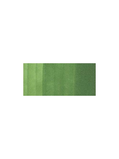 Copic Ink - YG67 Moss