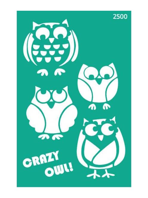 Ismételhető öntapadós sablon 13x20cm – 2500