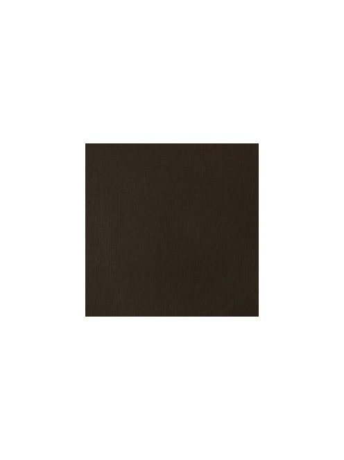 Akrilfesték Basics 118ml – 331 nyers umbra