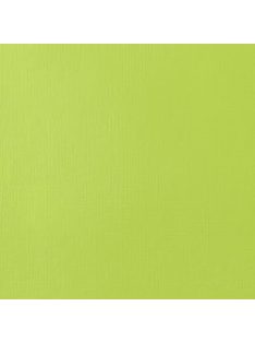 Liquitex SB akrilfesték 59ml – 840 Ragyogó sárga-zöld