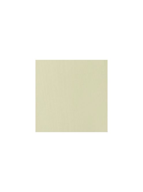 Akrilfesték Basics 22ml - 436 pergamen
