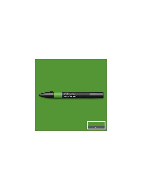 Kétoldalas WN Promarker - Forrest Green (G356)