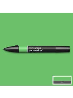 Kétoldalas WN Promarker - Fű (G457)