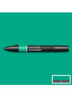 Kétoldalas marker WN Promarker - zöld (G847)