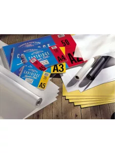 Sketchbook W&N Cartridge A3 50 sheets 110g