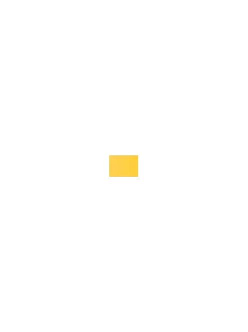 Pasztell Caran d'Ache Neocolor I 010 Yellow