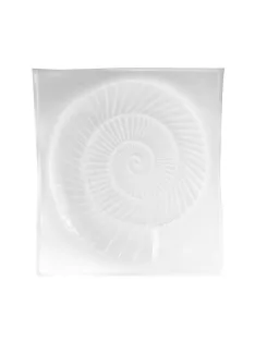 Casting mould  Ammonite 230x380mm