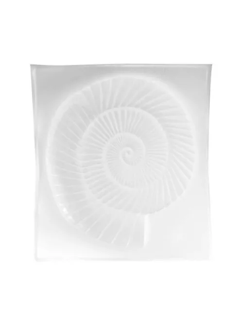Casting mould  Ammonite 230x380mm