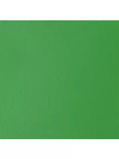   Akril festék Basics Fluid 118ml – 312 világos Green Permanent