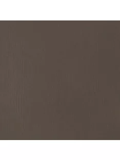 Akril festék Basics Fluid 118ml – 331 Nyers umbra