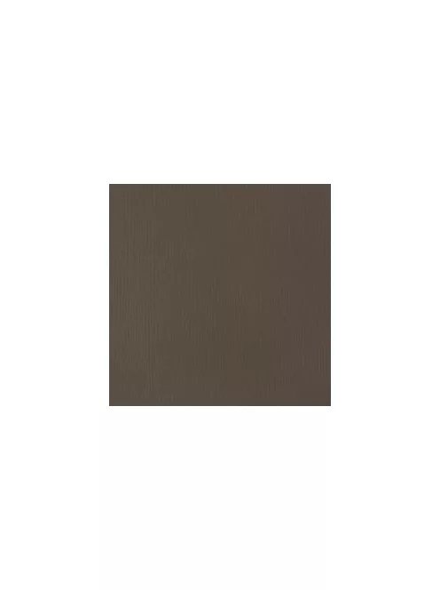 Akril festék Basics Fluid 118ml – 331 Nyers umbra