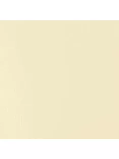 Akril festék Basics Fluid 118ml – 434 Unbleached Titanium