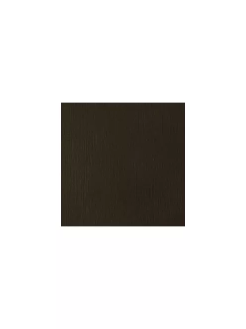 Akril festék Basics 22ml  331 nyers umbra