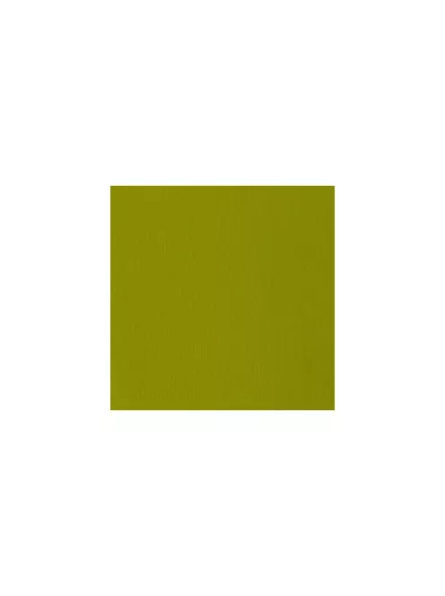 Akril festék Basics 22ml  218 világos olajzöld