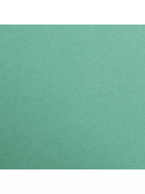 Színes papír Maya A2 - 51 Sötét zöld