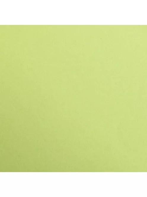 Színes papír Maya A2 - 52 Moha zöld