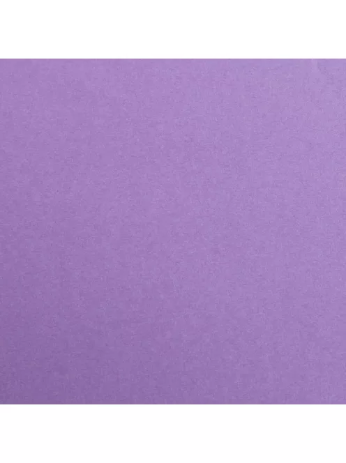 Színes papír Maya A2 - 59 Lila