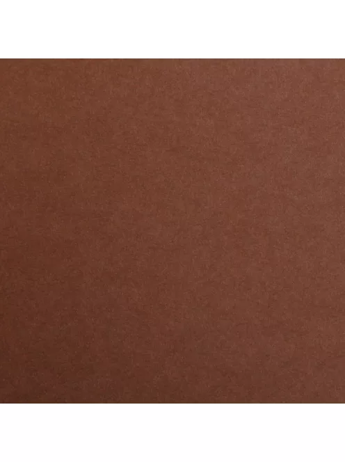 Színes papír Maya A2 - 61 Barna