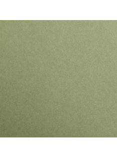 Színes papír Maya A2 - 70 Khaki