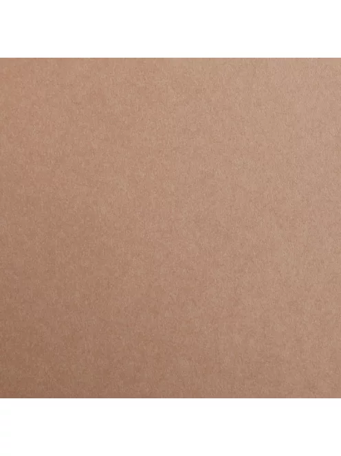 Színes papír Maya A2 - 74 Világos barna