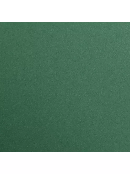 Színes papír Maya A2 - 79 Antik zöld