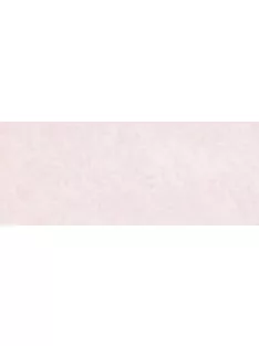 Propic Art Marker - WG01
