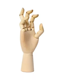 Fa kézmodell - jobb