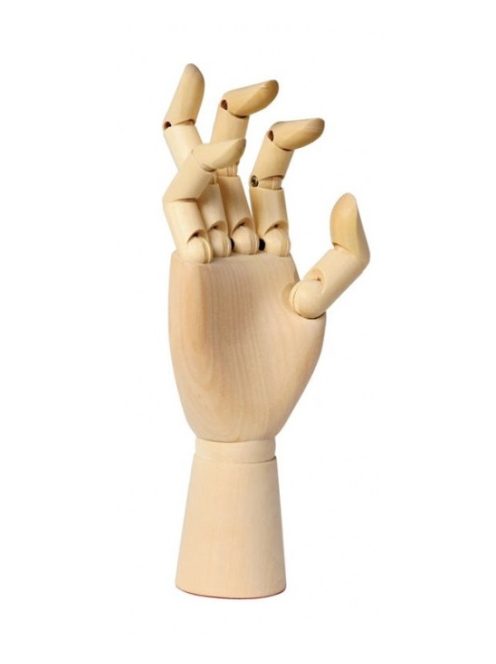 Fa kézmodell - jobb