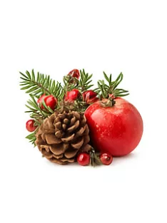 Scent for candles 10ml – 20 Christmas scent